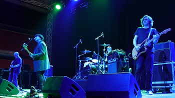 Chameleons - 1