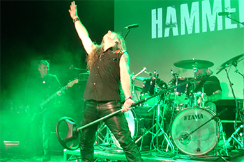 hammerhead