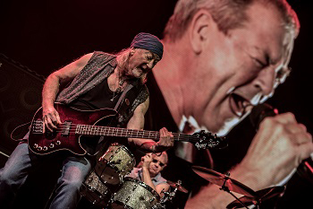 deep purple