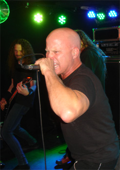 HEATHEN david LIVE 2013