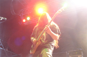 dying fetus