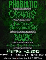 RECKLESS MANSL flyer NEWS 2012