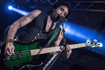 the dead daisies