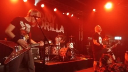 Tony Gorilla - live - 2025