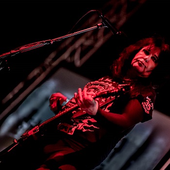 Wasp - live - 2017 - 3
