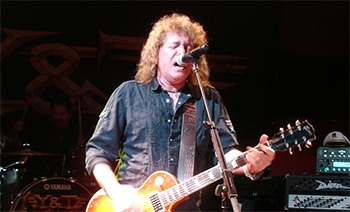 Y & T