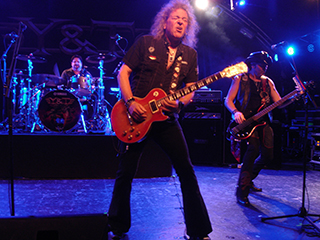 y & t